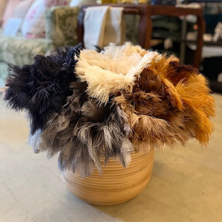Feather Duster - Small