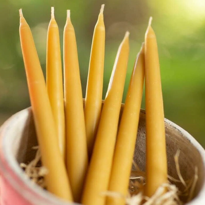 Beeswax Candles