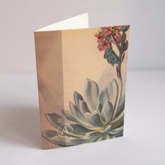 Greeting Card Set (6)