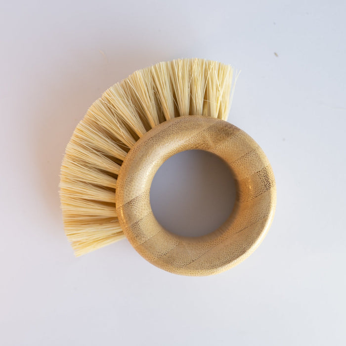 Scrubbing Brush