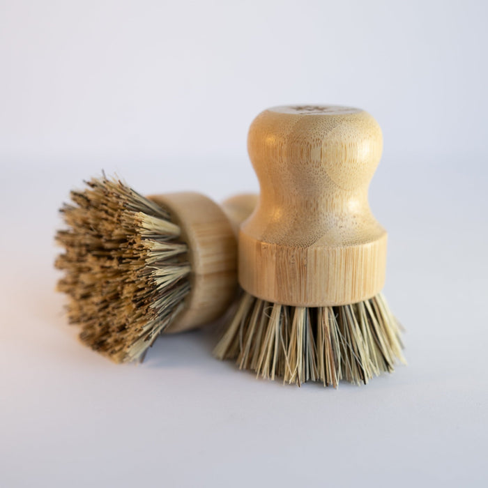 Scrubbing Brush