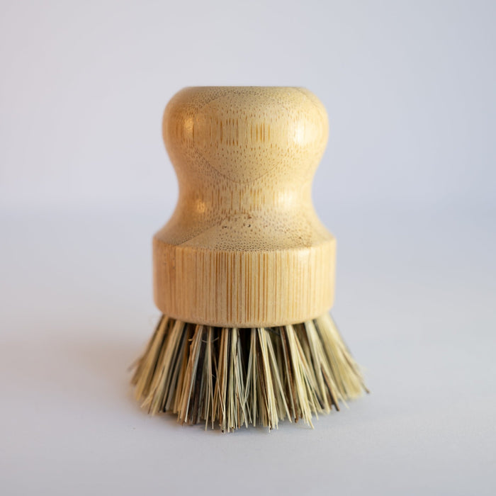 Scrubbing Brush