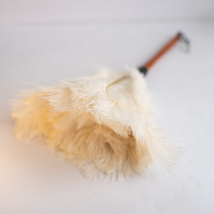 Feather Duster - Small