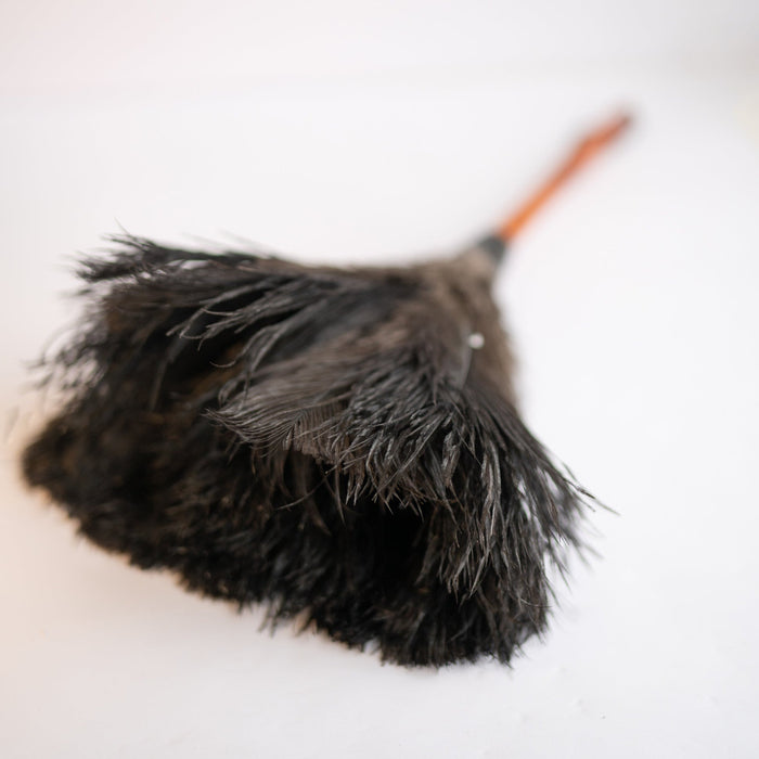 Feather Duster - Medium