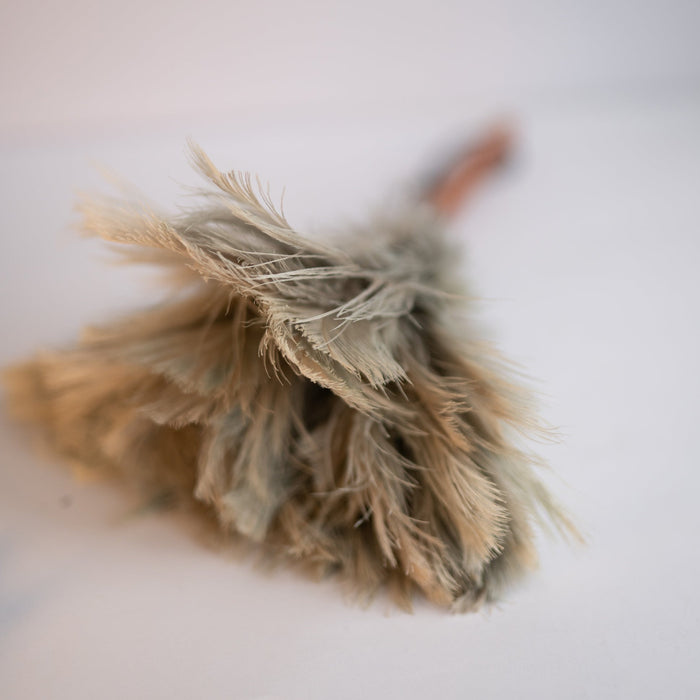 Feather Duster - Small