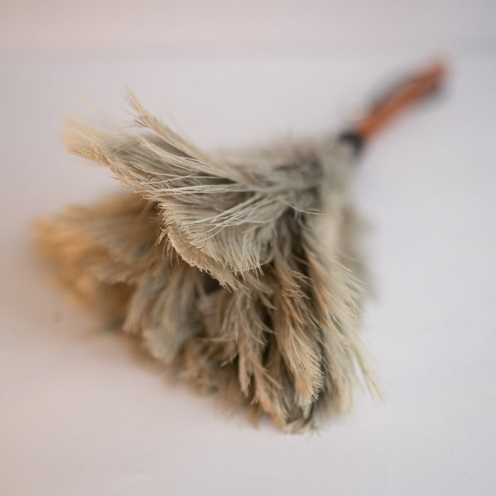 Feather Duster - Medium