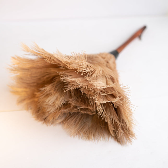 Feather Duster - Medium