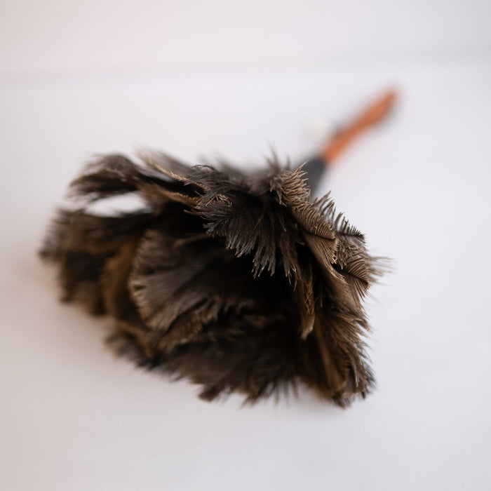 Feather Duster - Small