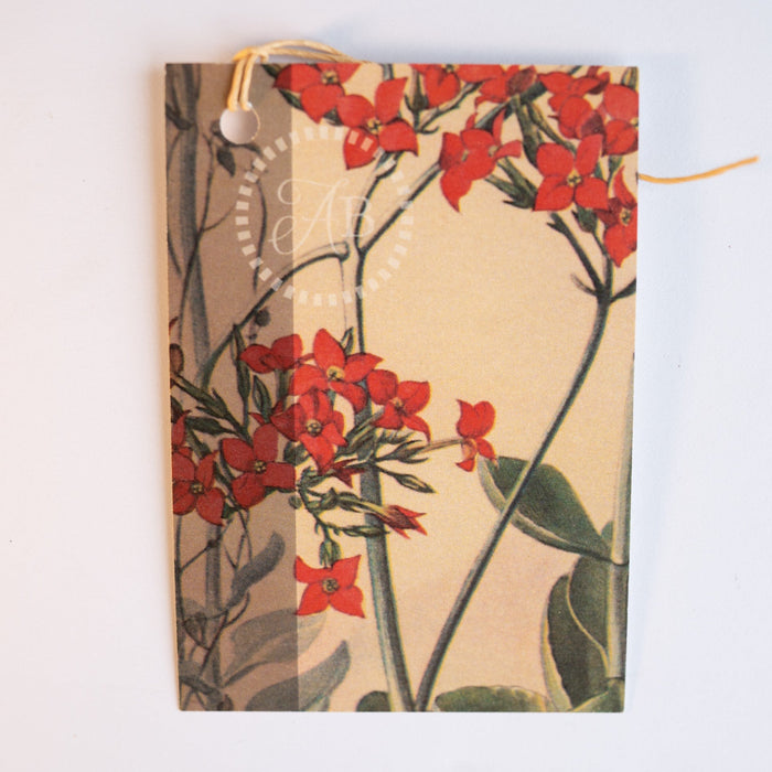 Gift Tag Set (4)