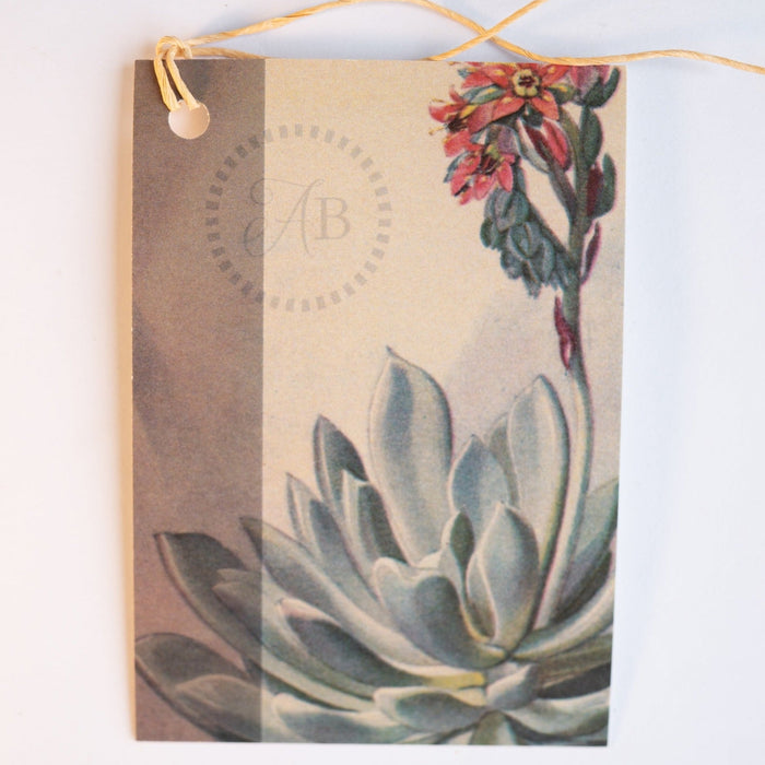 Gift Tag Set (4)